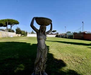 hacienda-azul-gallery-44