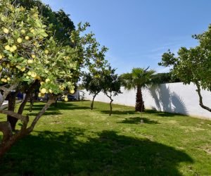 hacienda-azul-gallery-47