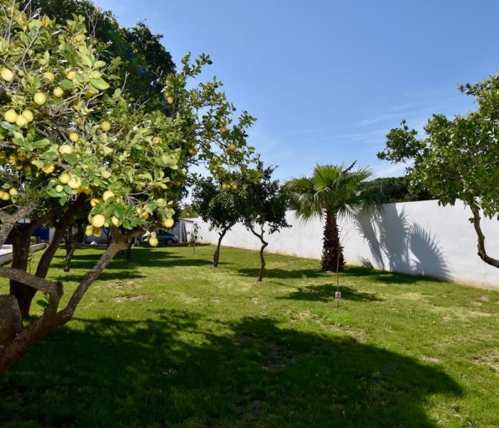 hacienda-azul-gallery-47