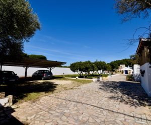 hacienda-azul-gallery-48