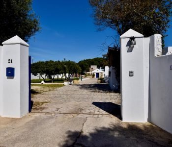 hacienda-azul-gallery-55